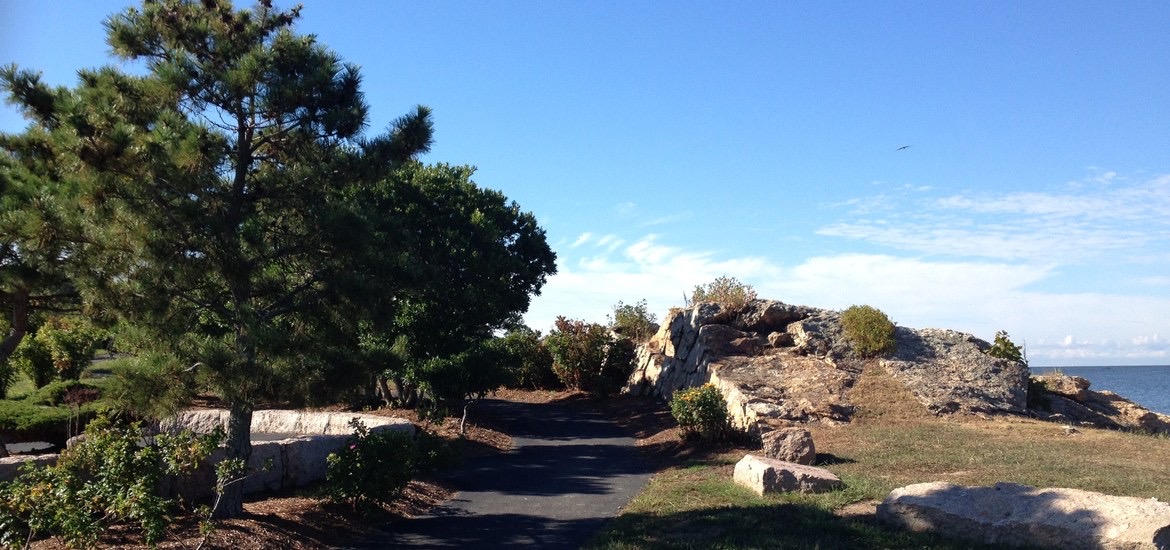 Branford Point landscaping