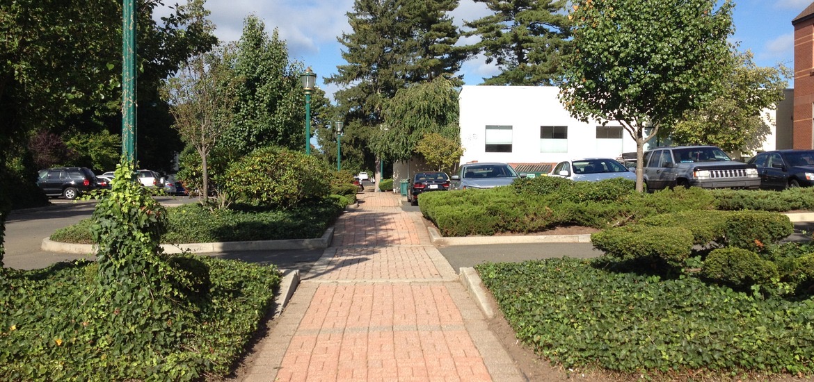 Commercial parking lot and grounds